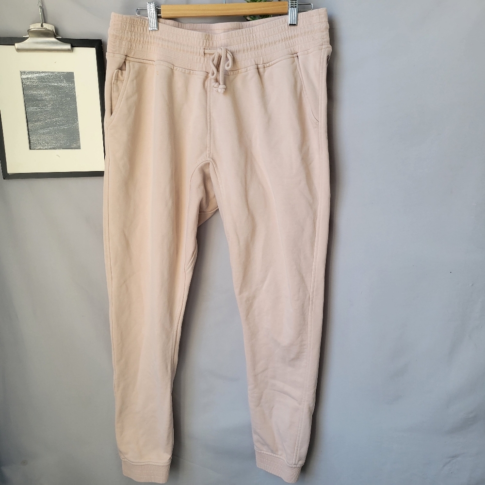 Ivy Park Washed Jersey Jogger Sweatpants Pale Pink M - Picture 2 of 16